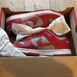 Nike Dunk Low Retro Size 10.5