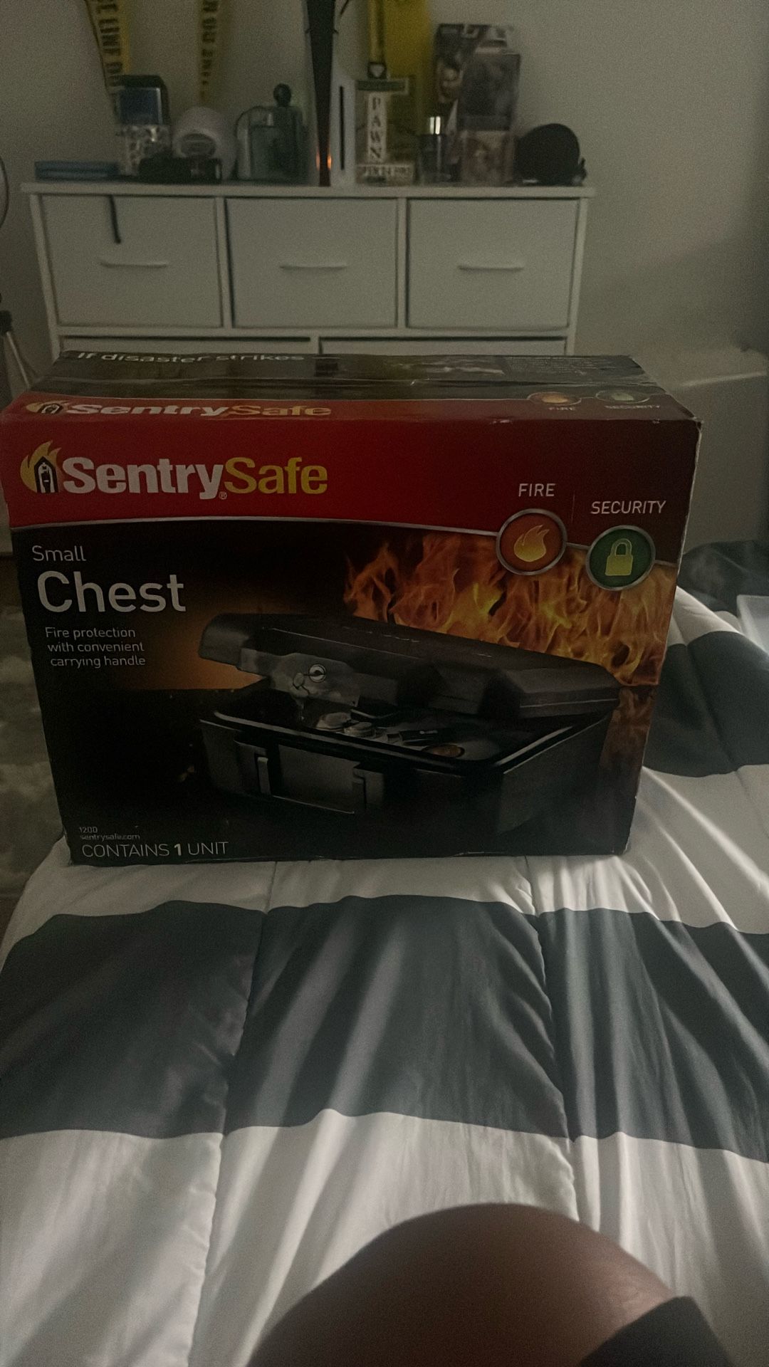 Chest