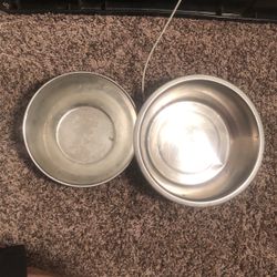 Dog 🐶 Bowl