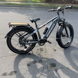 Himiway D5 (Zebra) E-bike 