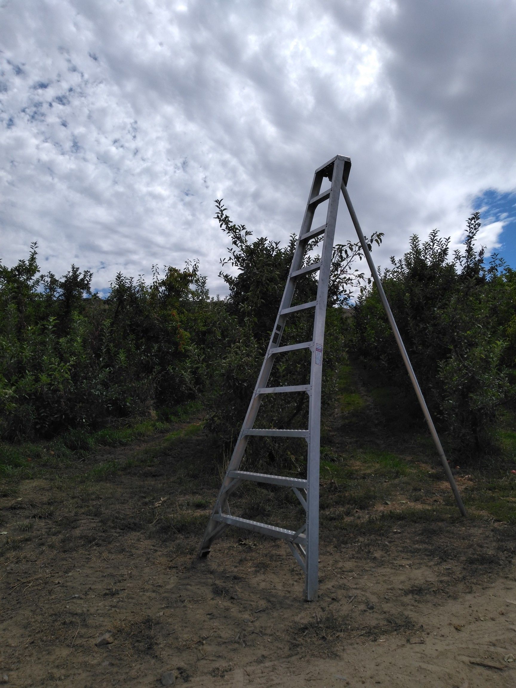10' & 12' aluminum tripod / orchard ladders for Sale in Lynnwood, WA
