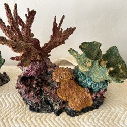 Decorative Coral