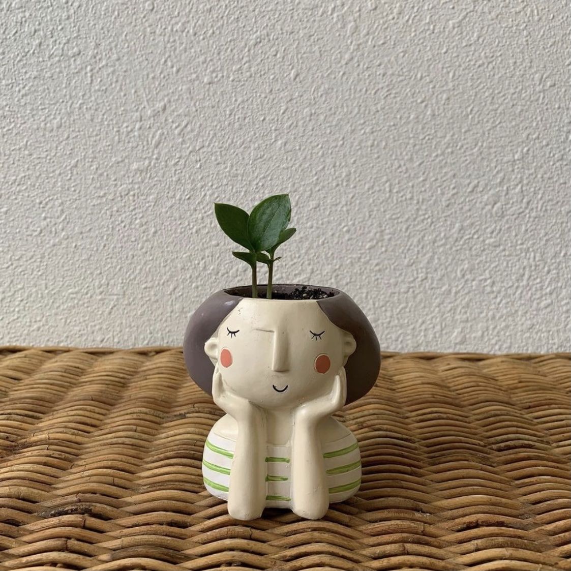 Baby ZZ w/ 2” Resin Girl Pot