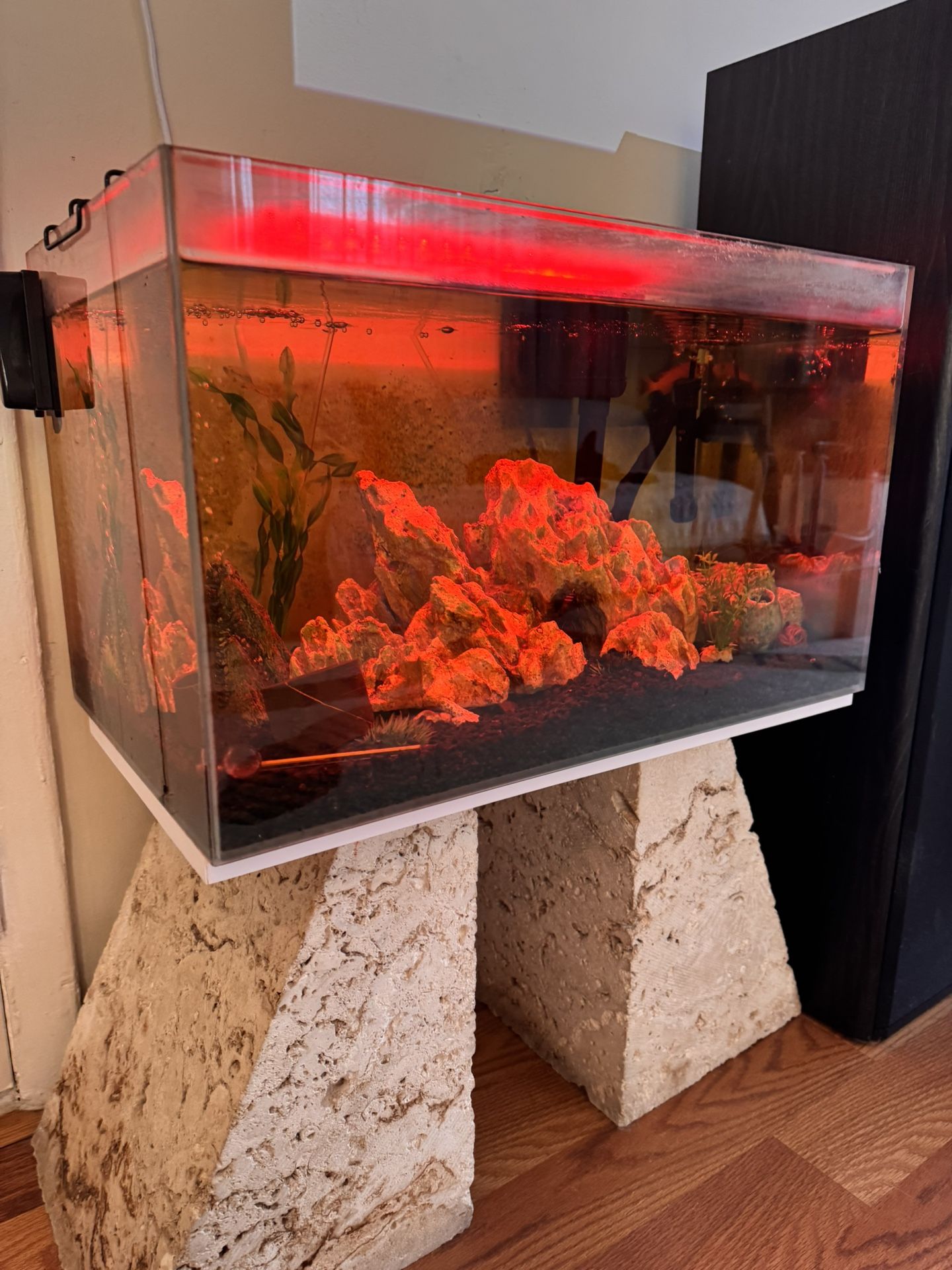 25 Gallon tank