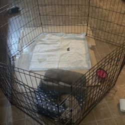 Dog ,Cage, Or Bed,
