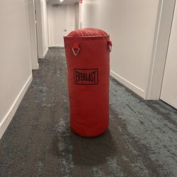 Everlast 40 Lb Heavy Punching Bag 