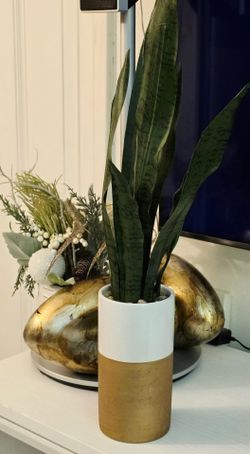 Set of Fake Snake Plant 27in Potted Plant ceramic Pot.