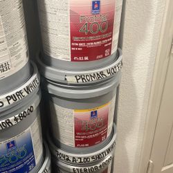 5 gallon flat extra  white paint 