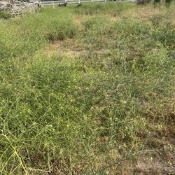 Mowing & Tractor Service 