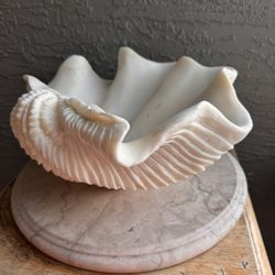 Sea Shell Bowl