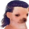 Joel