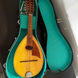 Mandolin 