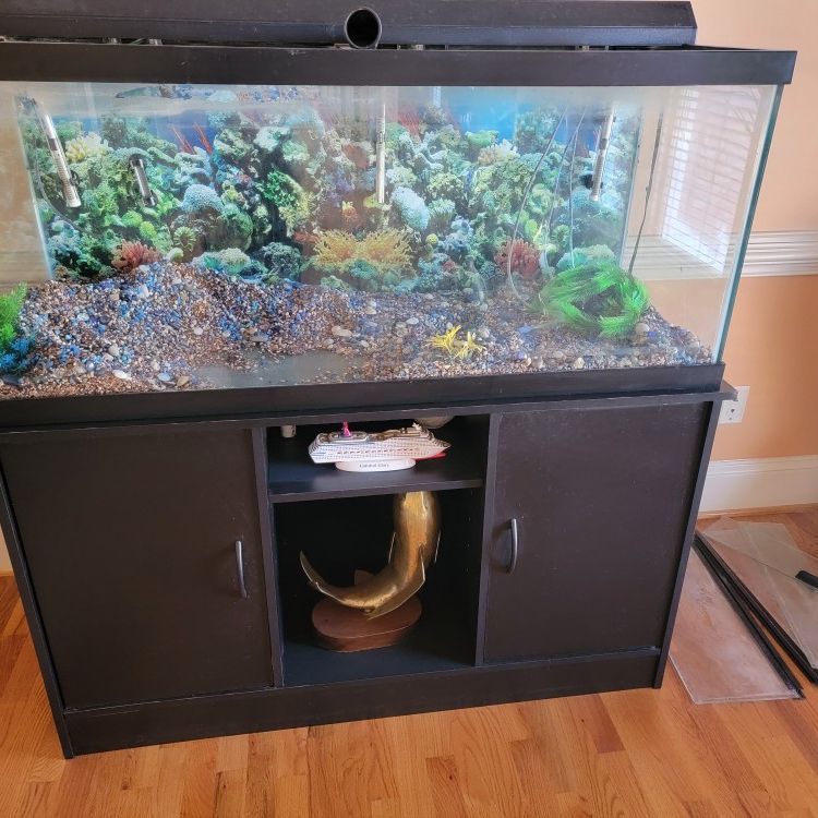 Fish Tank And Stand 75 Gal