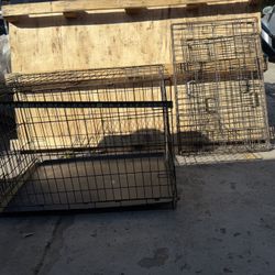 Dog Cage 