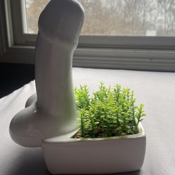 Penis Plant With Bush