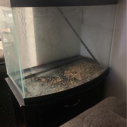 Fish Tank 