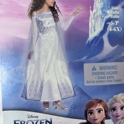 Frozen Dress Costume