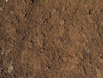 Screened Loam Topsoil