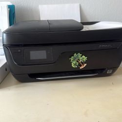 HP printer