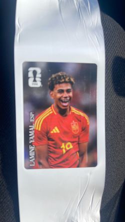 Panini World Cup sticker