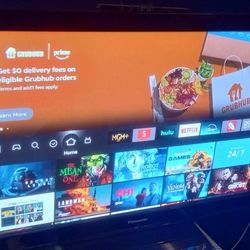41" Panasonic Plasma TV 2011 $30