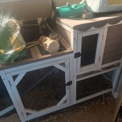 Small Animal Hutch 