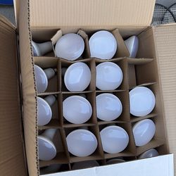 BR30 LED Bulbs