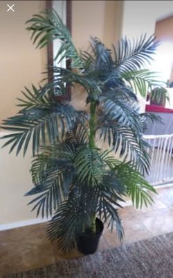 6FT Artificial Palm Tree - Tropical Golden Cane, 3 Trunk in Pot, Excel