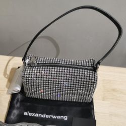 Alexander Wang Heiress Pouch in Crystal Mesh