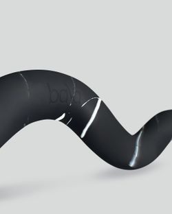 Limited Edition Bala Beam Weight Curl Bar 