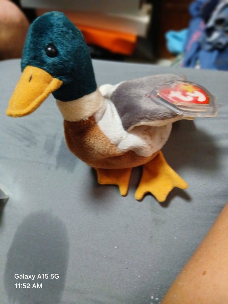 Jake The Duck