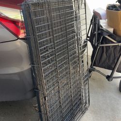 Dog Items