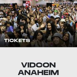 VIDCON Single Day Ticket!! 