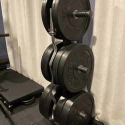 Rogue Fitness HG Olympic Rubber Bumper Weight Plates - 230 Lb Complete Set