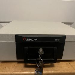 Sentry 1100 Fire Resistant With Key Lock 