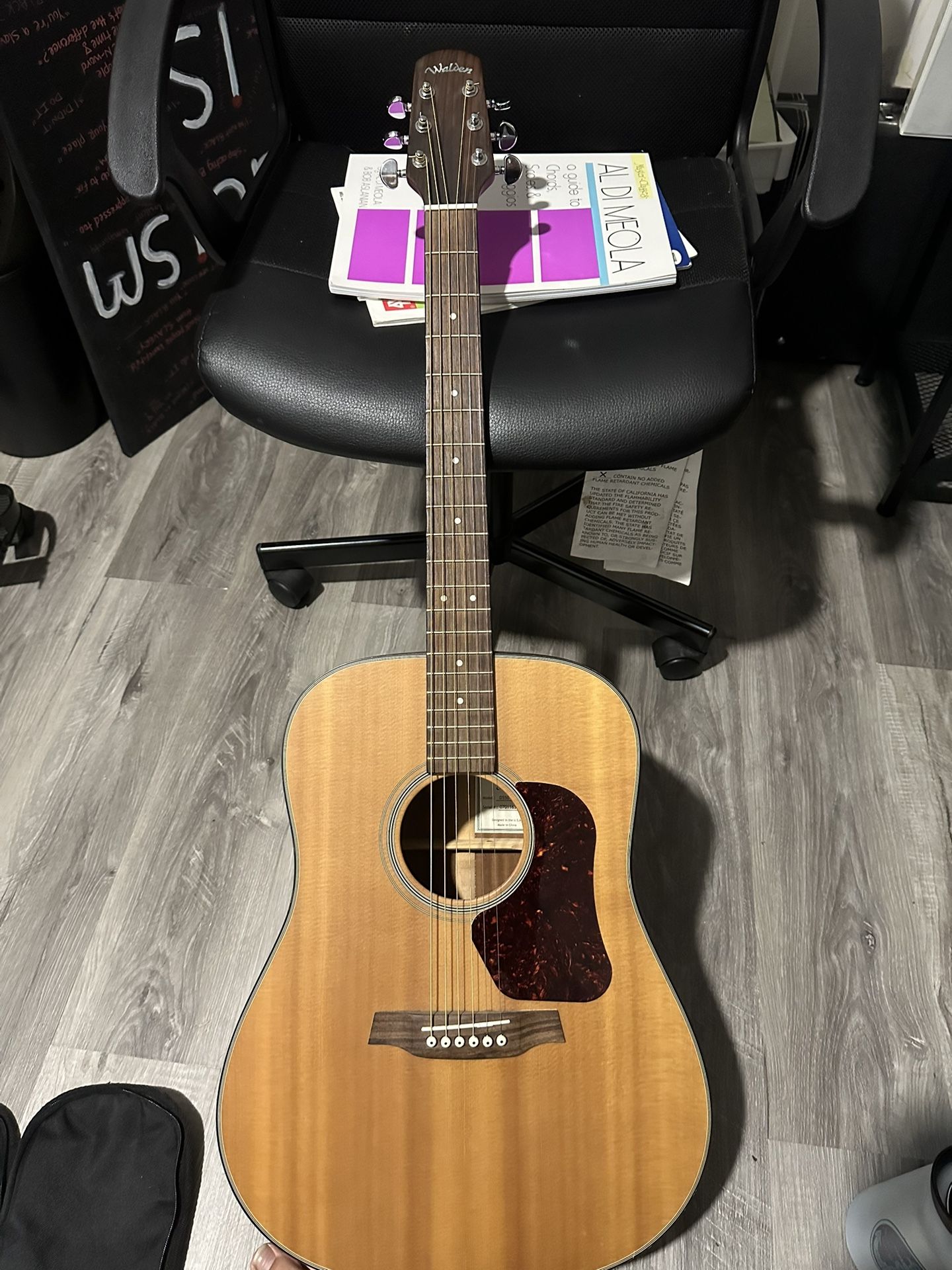 Walden D550 Acoustic Guitar