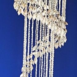 Shell Chandelier 🐚 