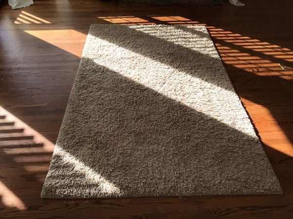 Pottery Barn Dalton Shag Rug In Taupe 5x8 For Sale In Bothell Wa