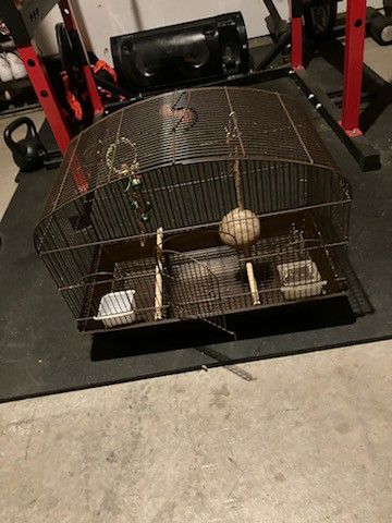 Bird Cage