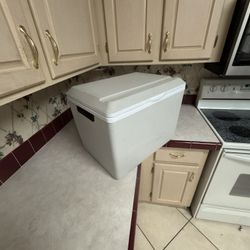 Electric Cooler