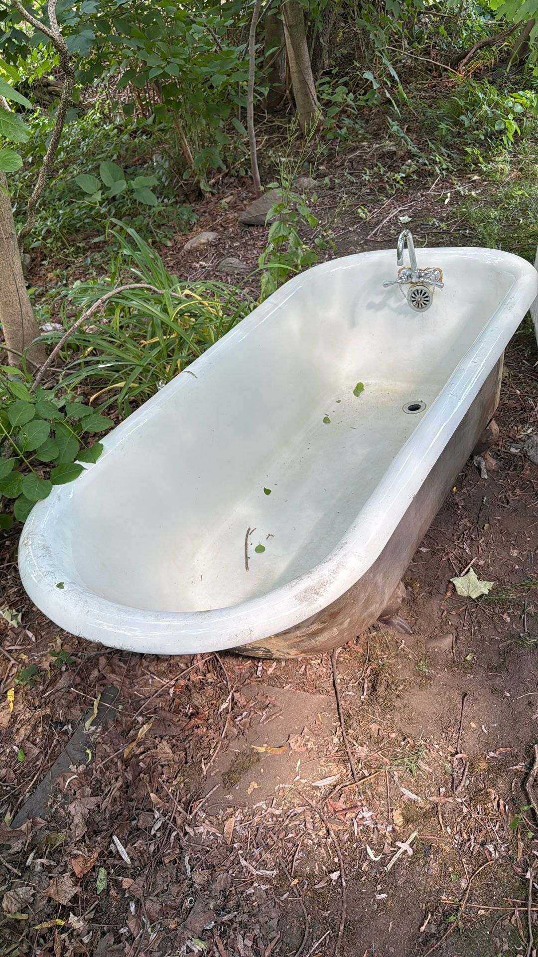FREE Cast Iron Tub