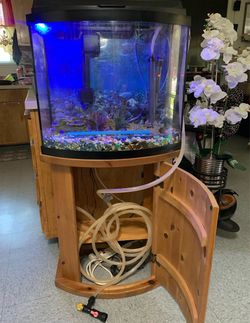 Fish Tank with everything included in pictures
