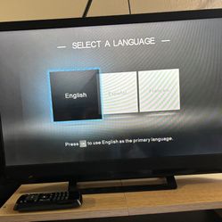 Vizio 24 Inch Monitor TV