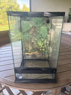 10 gallon reptile tank