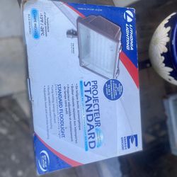 Lithonia Lighting Standard Floodlight 65 Watt Bulb Fluorescent Security Light