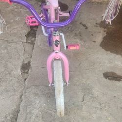 Princess Bike