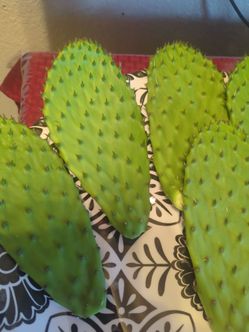 nopales frescos organicos