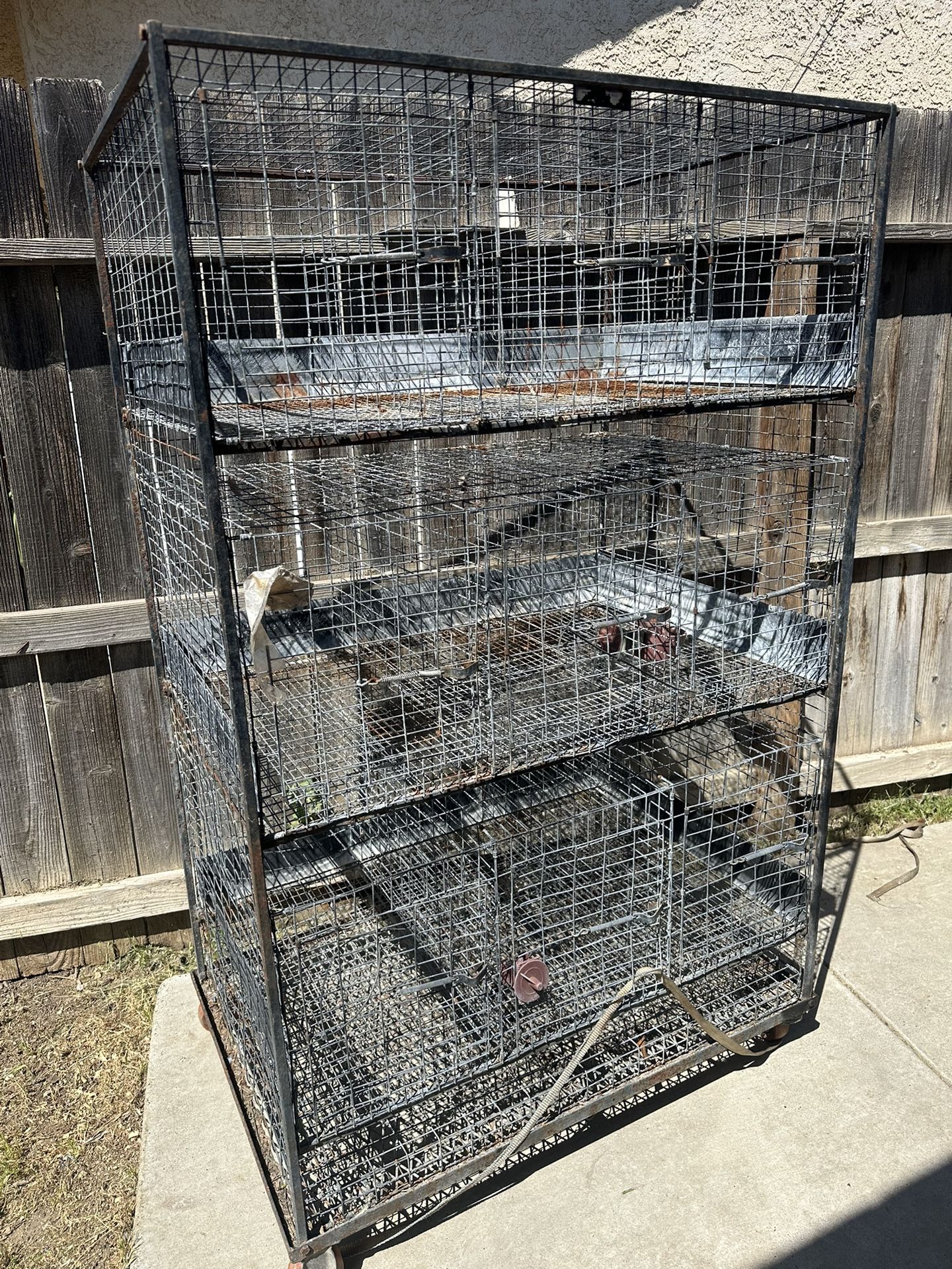 Bunny Cages
