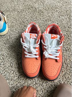 Orange lobsters