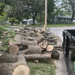 Free Wood 